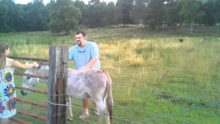 Andrew vs donkey!!