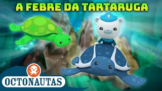 Octonautas - 🐢 A Febre da Tartaruga 🎉 | Compilação | Episódios inteiros