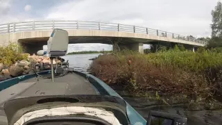 chippewa flowage bog/bridge