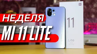 Какой же он КЛАССНЫЙ! Неделя с Mi 11 LITE. Обзор и опыт использования