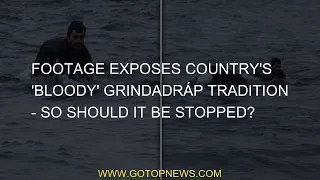 Footage exposes country's 'bloody' grindadráp tradition - so should it be stopped?