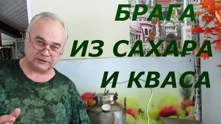 Брага из сахара и концентрата кваса / Рецепты самогона, браги / Самогон Саныч