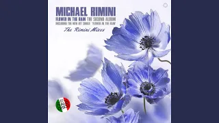 Don't Break My Heart (Extended Vocal Rimini Mix)