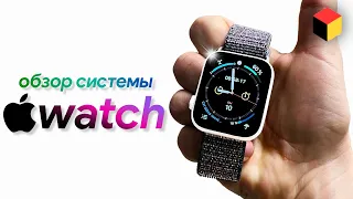 Apple Watch: Full Overview of watchOS. How to use Apple Watch?