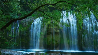 2 Horas de Paz con Jesús  Melodía con Sonidos Naturales  Dormir, Orar, Descansar