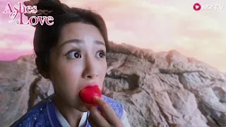 Jin Mi mistakenly eat Suzaku's eggs, Xu Feng distressed to help heal! | Ashes of Love