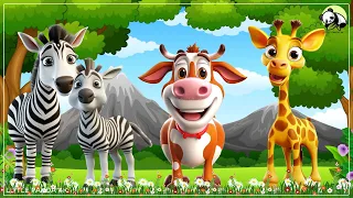 Wild Animal Sounds In Peaceful: Zebra, Cow, Giraffe, Donkey - Cute Animal Moments