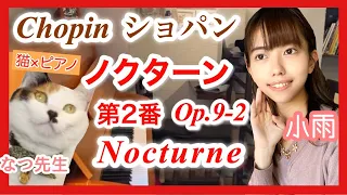【ノクターンOp.9-2】ショパンのノクターンを猫カフェのピアノで小雨が弾いてみたら/Chopin/NocturneOp.9 No.2