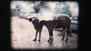 Horse imitating a man - 1960´s 8mm Home Movie