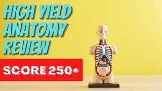 30 HIGH YIELD Anatomy Facts