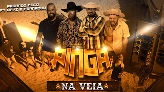 Pinga na veia - Chico Miséria e cumpade Zé feat Davi e Fernando