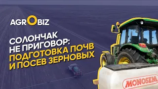 Как удвоить урожай зерновых: влага, удобрения, сорта и технологии посева в СКО