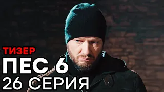 Сериал ПЕС 6 - 6 сезон - 26 серия - ТИЗЕР | СЕРИАЛЫ ICTV