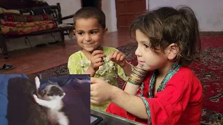 Kids react to CATS will make you LAUGH YOUR HEAD OFF - Funny CAT compilation!