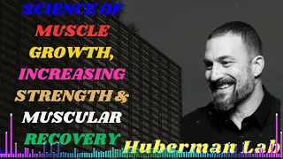 Science of Muscle Growth, Increasing Strength & Muscular Recovery II Huberman Lab