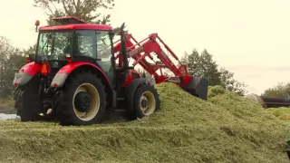 Kukurydza 2015 | Karwieńskie Błota | Pomorskie | Claas | cz. 2