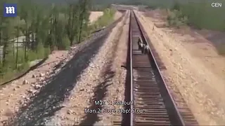 Heartbreaking moment mother bear is run over and killed by train while saving..