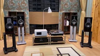 Dynaudio Contour 20 & Hegel H590 #01