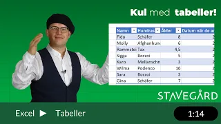 Enkelt att få en summering med hänsyn till filter i Excel