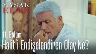 Halit'i endişelendiren olay ne? - Yasak Elma 11. Bölüm