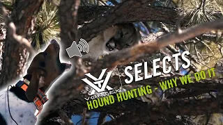 Hunting Mountain Lions Over Hounds ft. The Untamed | Vortex Selects