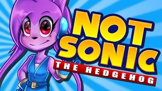 NOT SONIC THE HEDGEHOG