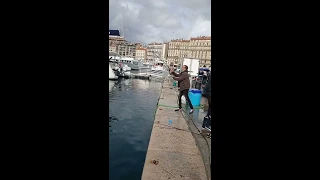 Pêche du Loup 8kg Marseille vieux port