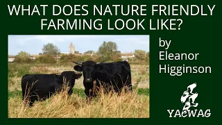 What does nature friendly farming look like? by Eleanor Higginson