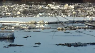 Ледоход на Оке, село Дединово.31.03.24г.