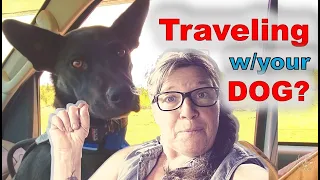 How to Travel with a  Dog//8 Tips from Full Time RV Nomad