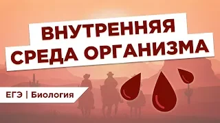 Что такое ВНУТРЕННЯЯ СРЕДА ОРГАНИЗМА l ЕГЭ Биология | Даниил Дарвин | Вебиум