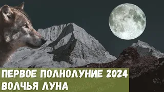 Первое Полнолуние 2024 года - Волчья Луна