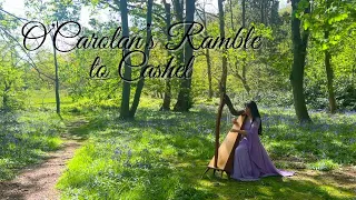 O'Carolan's Ramble to Cashel - Celtic Harp