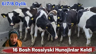 16 Bosh Tozza Rossiyski Hunojinlar Keldi ☎️+998 94 208 80 07