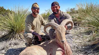 Texas Aoudad Hunt @saltyantleroutdoors