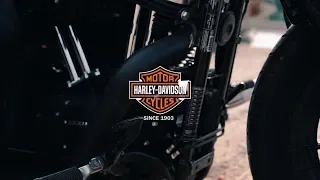 Harley Davidson Comercial Iron 883 vs Forty eight