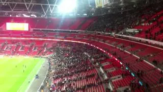 Irish fans at Wembley