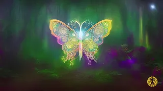 THE BUTTERFLY EFFECT  - Elevate your Vibration - Positive Aura Music