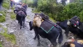 Bhutan, In Search of a Celestial Kingdom Part 1.Road to Merak, an Unchartered Land