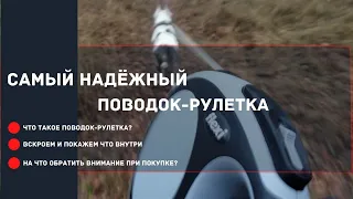 Самый надёжный поводок рулетка. На что обратить внимание при покупке и использовании?