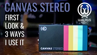 Canvas Stereo | Walrus Audio - First Look & Three Ways I Use It