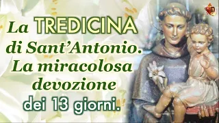 La Tredicina di Sant’Antonio.La miracolosa devozione dei 13 giorni.