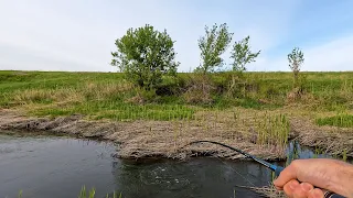 БЕШЕНАЯ РЫБА В РУЧЬЕ! Ловля щуки и окуня на спиннинг. Май 2023.