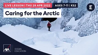 Caring for the Arctic | Ages 7-11 / KS2