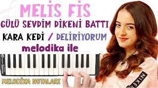 Melodika ile MELİS FİS Şarkıları - Kara Kedi - Gülü Sevdim Dikeni Battı - Deliriyorum