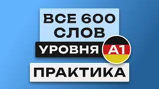 Все 600 немецких слов - практика. Немецкий язык A1. Немецкий с нуля. Немецкие слова для начинающих