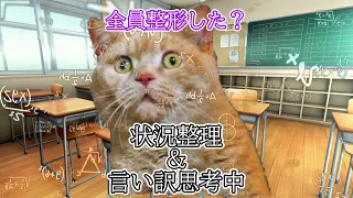 【猫ミーム】新学期初日に起きた投稿者の黒歴史　みんなの黒歴史も教えてくれ。#猫ミーム #猫マニ #猫meme #黒歴史