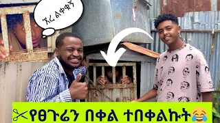 !!የውሻ ቤት ውስጥ አስገብተን……..