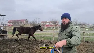 Не правильное обучение, привело к этому.