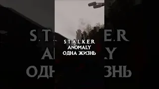 Он тебе про хабар... S.T.A.L.K.E.R. c одной жизнью #сталкер #сталкеры #сталкер2 #Shorts